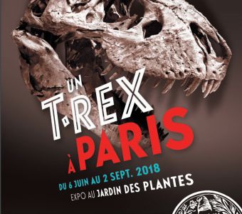 EXPO UN T. REX A PARIS JUSQU'AU 4 NOVEMBRE