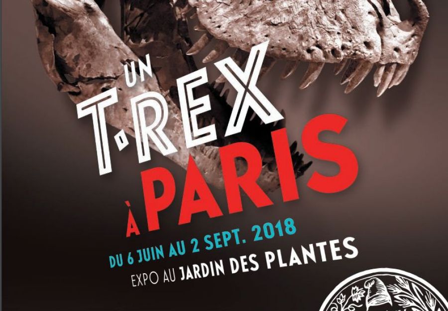 Affiche de l'exposition 'Un T. Rex à Paris'