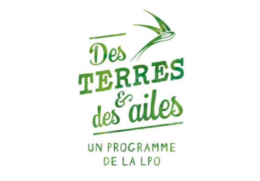 Reenchantons nos campagnes avec 'des terres et des ailes' ! - Image 2