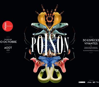 EXPO 'POISON' SUR LES ANIMAUX VENIMEUX AU PALAIS DE LA DECOUVERTE A PARIS
