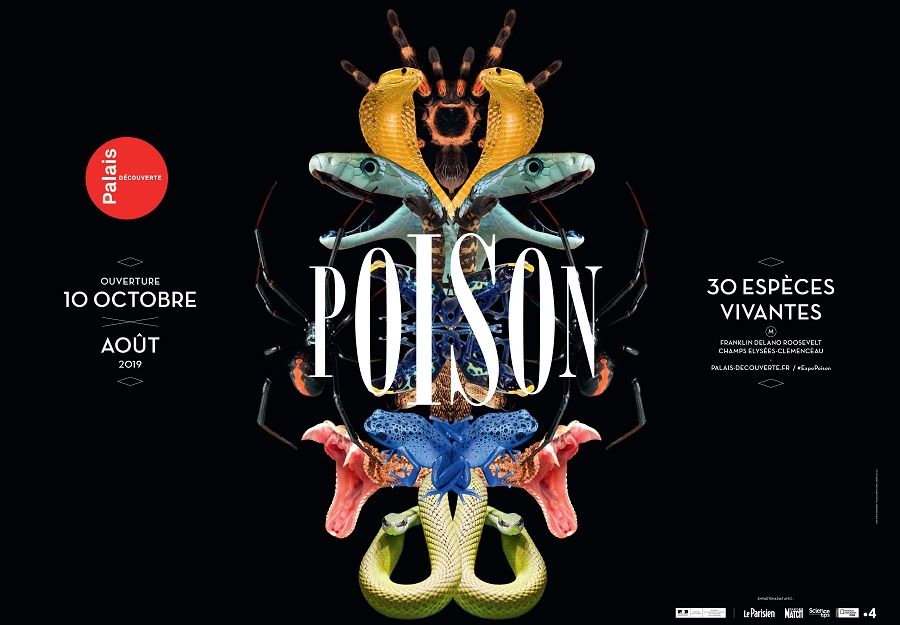 Expo 'poison' sur les animaux venimeux au palais de la d ... - Image 2