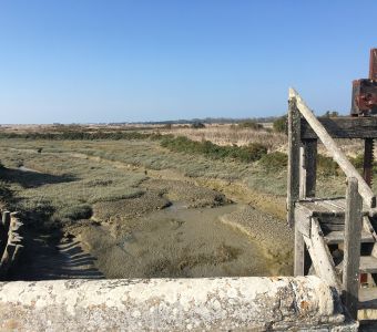 ANIGAÏDO RECOMMANDE : LA RESERVE NATURELLE LILLEAU DES NIGES SUR L'ILE DE RE (17)