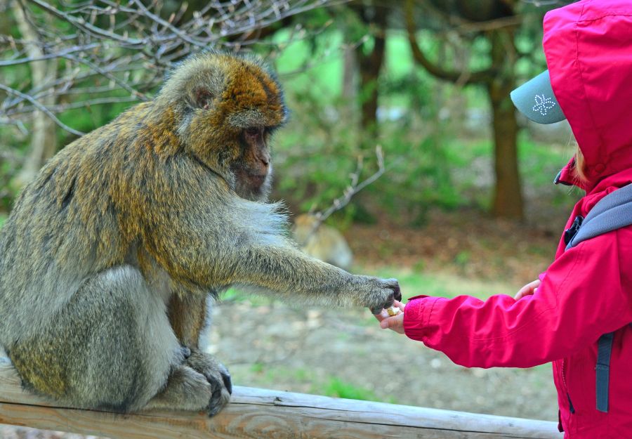 La rentree des animaux : la rubrique kids nouvelle formule ! - Image 2