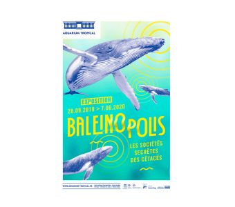 EXPOSITION BALEINOPOLIS A L'AQUARIUM TROPICAL DE LA PORTE DOREE (PARIS)