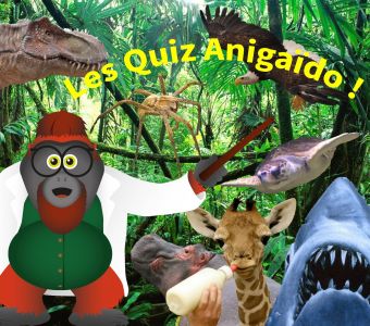 JOUEZ AUX QUIZ ANIMALIERS ANIGAÏDO !