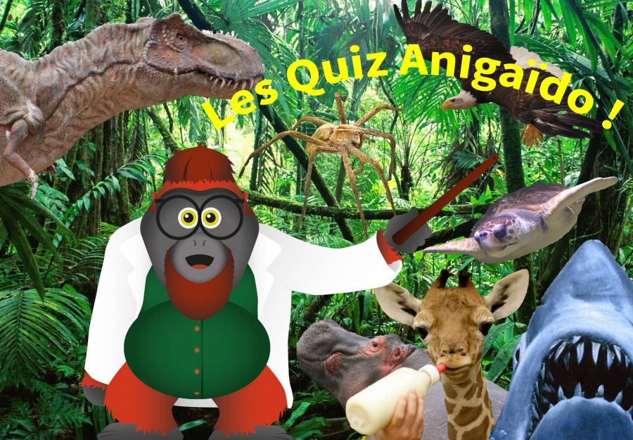 Jouez aux quiz animaliers anigaIdo ! - Image 2
