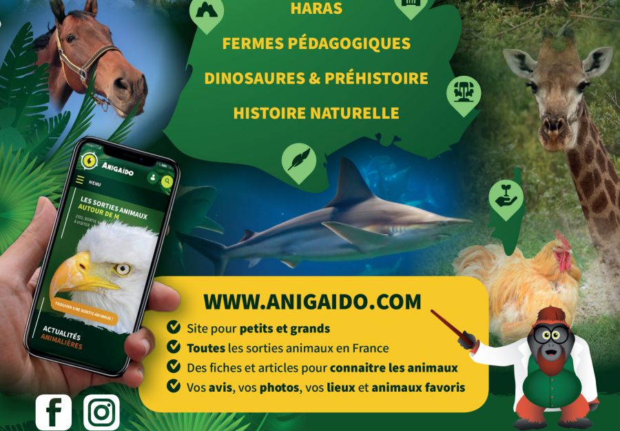 Nos articles pour decouvrir les animaux et preparer un e ... - Image 2