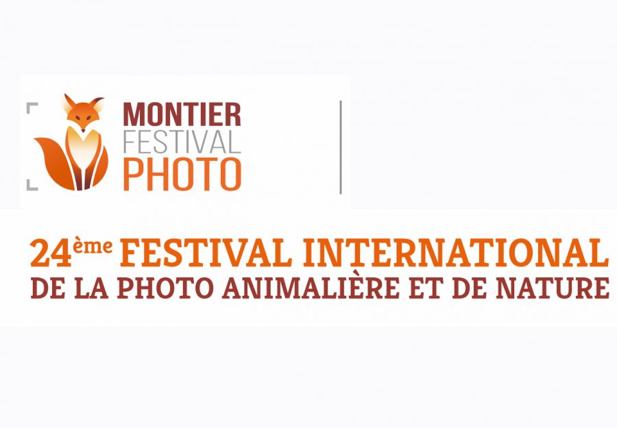 Festival montier photo du 18 au 21 novembre 2021 - Image 2
