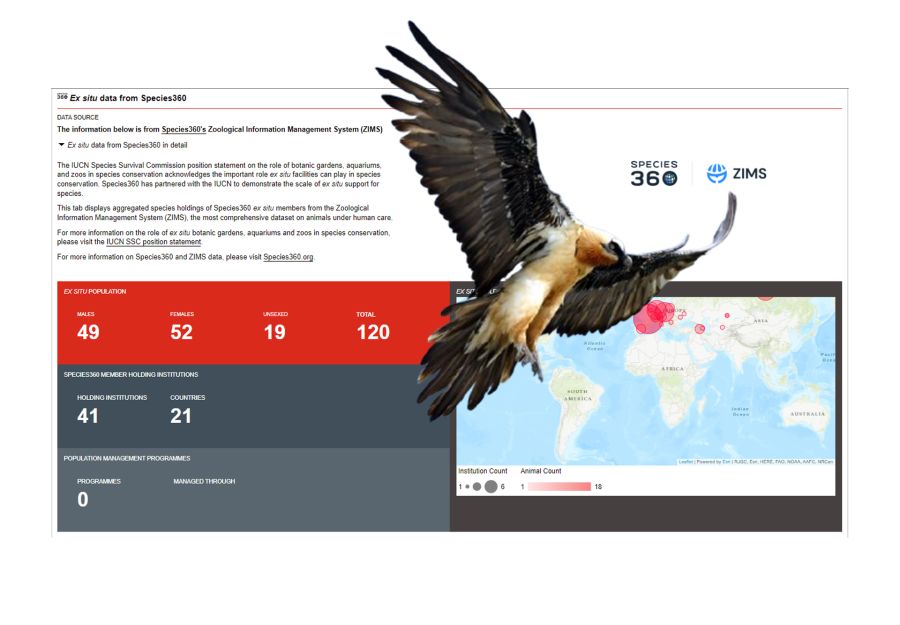La liste rouge de l'uicn recense les effectifs des anima ... - Image 2