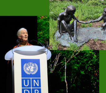 DISPARITION DE JANE GOODALL L'AMIE DES CHIMPANZES