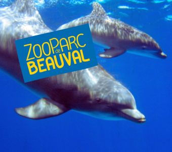 VERS LA CREATION D'UN CENTRE D'ACCUEIL POUR DAUPHINS AU ZOOPARC DE BEAUVAL ?