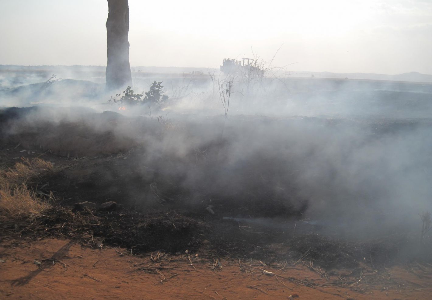Photo d'un feu de brousse à feu de brousse Bongolava, Madagascar - Fitiamg - Wikimedia Commons - CC BY-SA 4-0