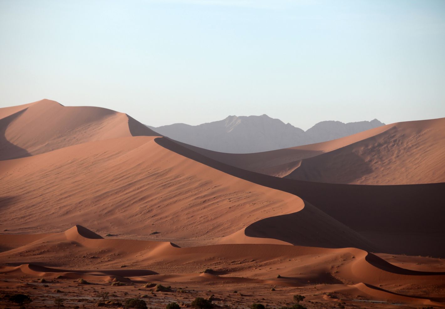 Paysage de montagne vallonnée