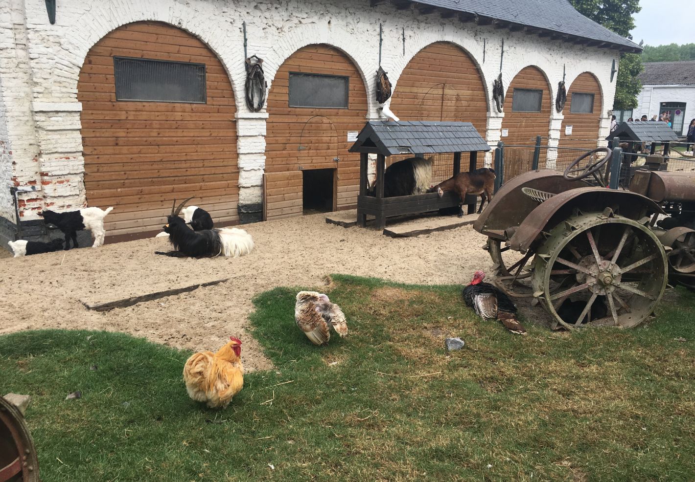 Photo d'une ferme avec basse-cour