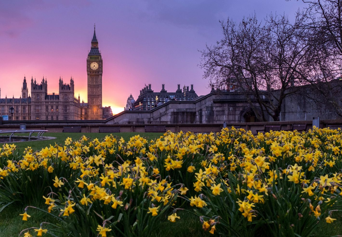 Un massif de fleurs à Londres