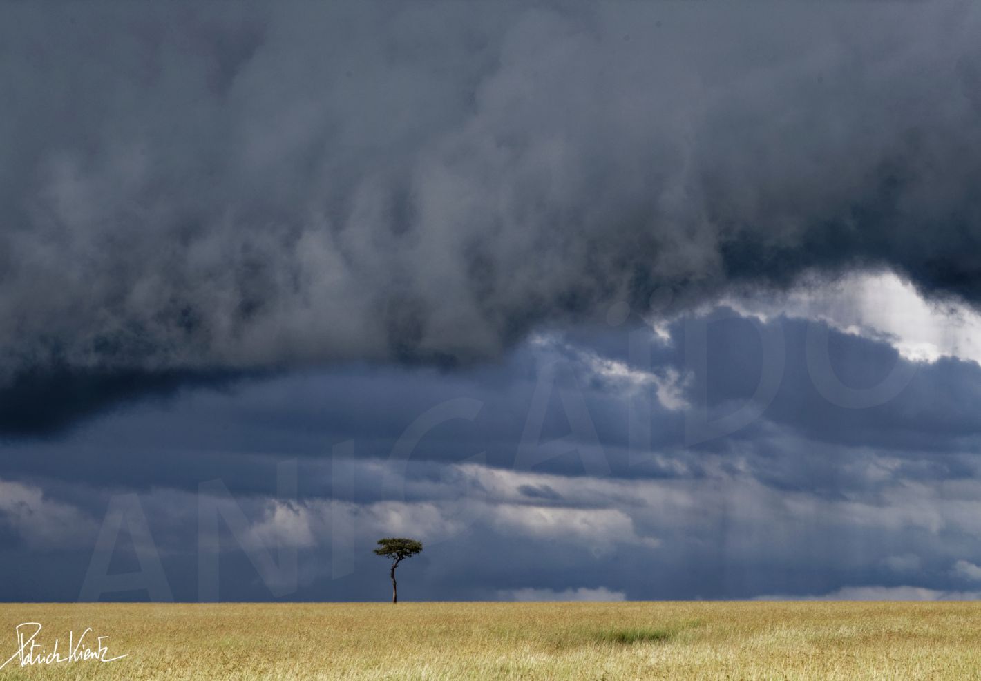 Paysage dans la savane du Masai Mara © Patrick KIENTZ