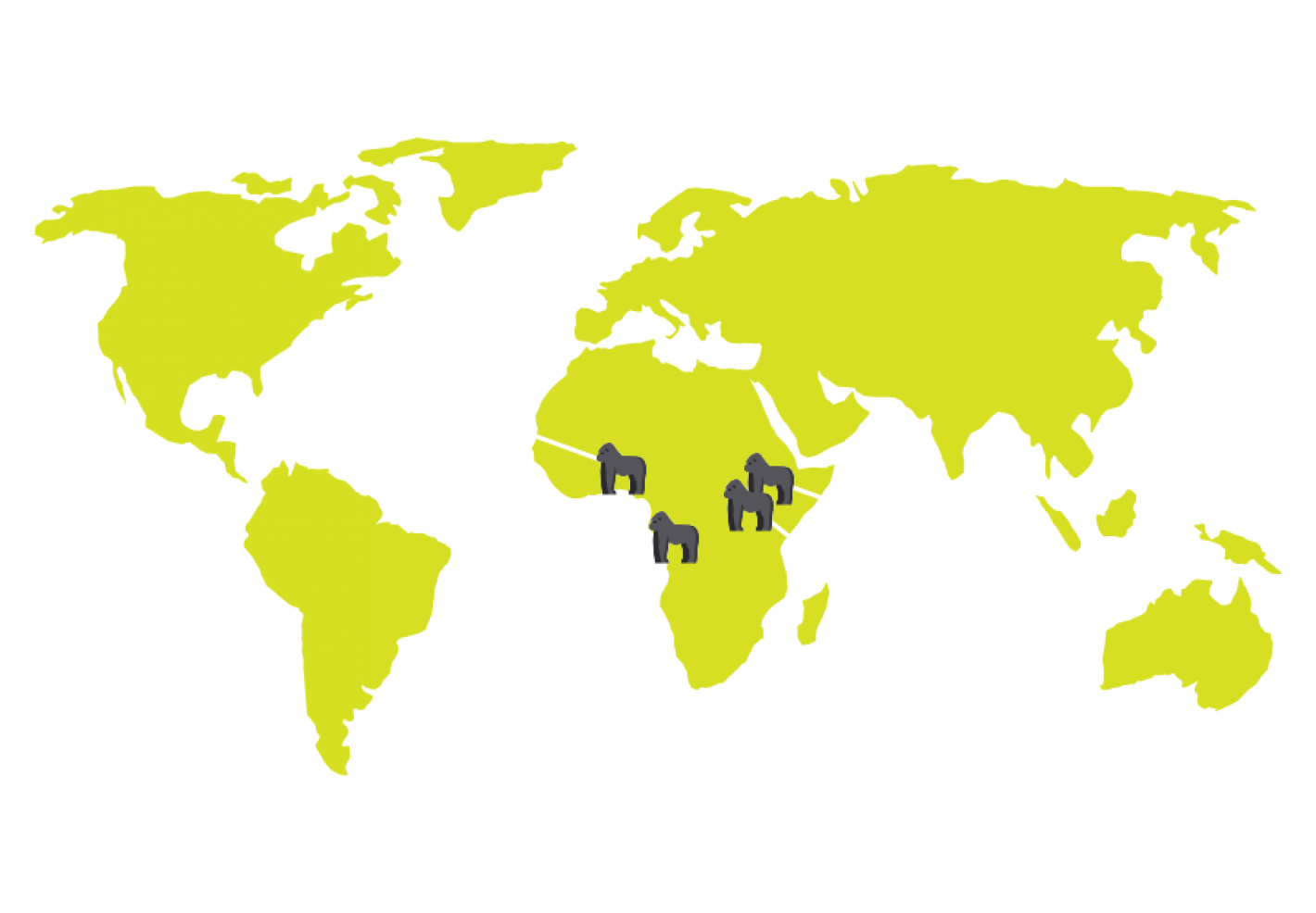 Carte des différente espèces de gorilles en Afrique par Pierre-François BOUCHER