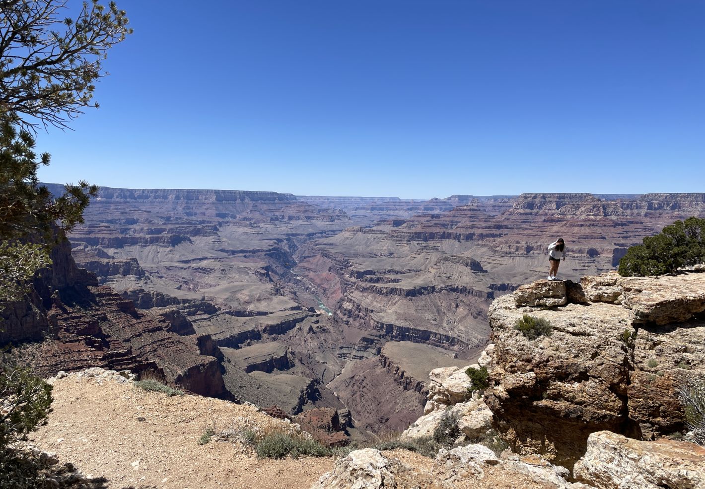 - Image 1