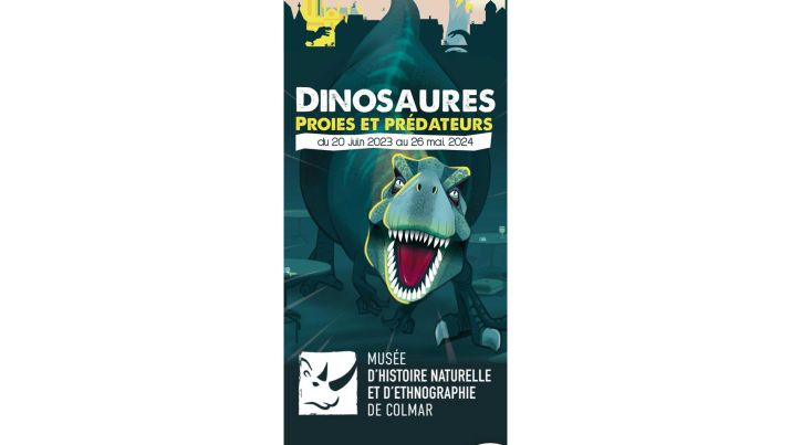 Dinosaures : Proies et Prédateurs - MUSEE D'HISTOIRE NATURELLE ET D'ETHNOGRAPHIE DE COLMAR