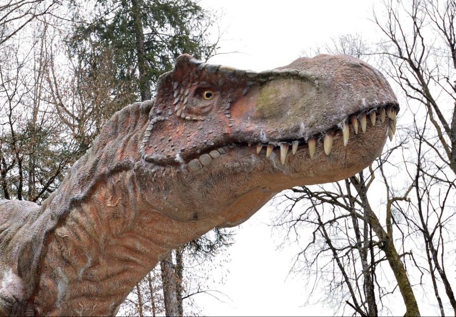 Le prehistoquiz dinosaures et prehistoire - Image 2