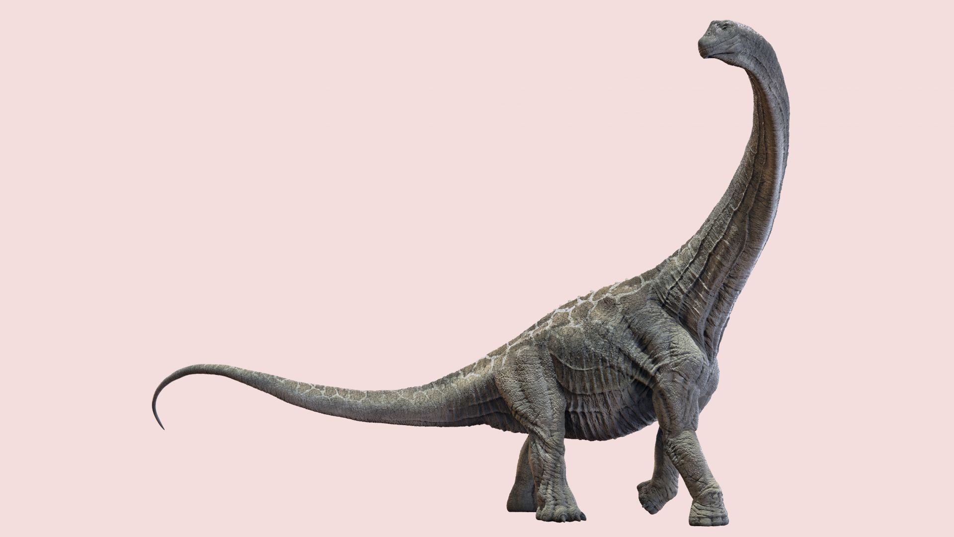 Découvre les dinosaures et la préhistoire avec Anigaïdo