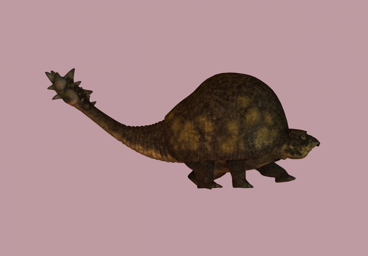 Dinosaures et Prehistoire - Image 2