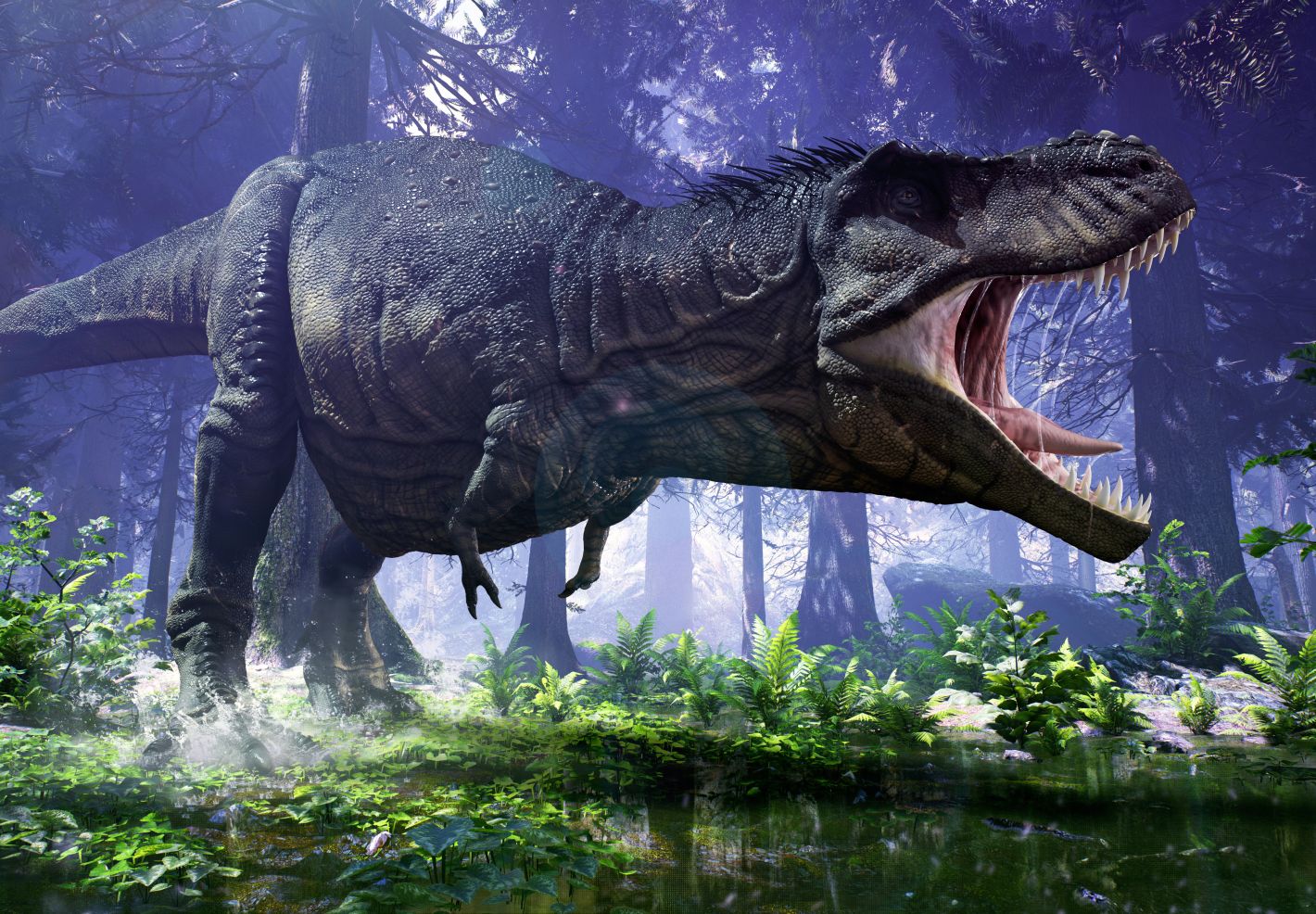 Dinosaures et Prehistoire - Image 2