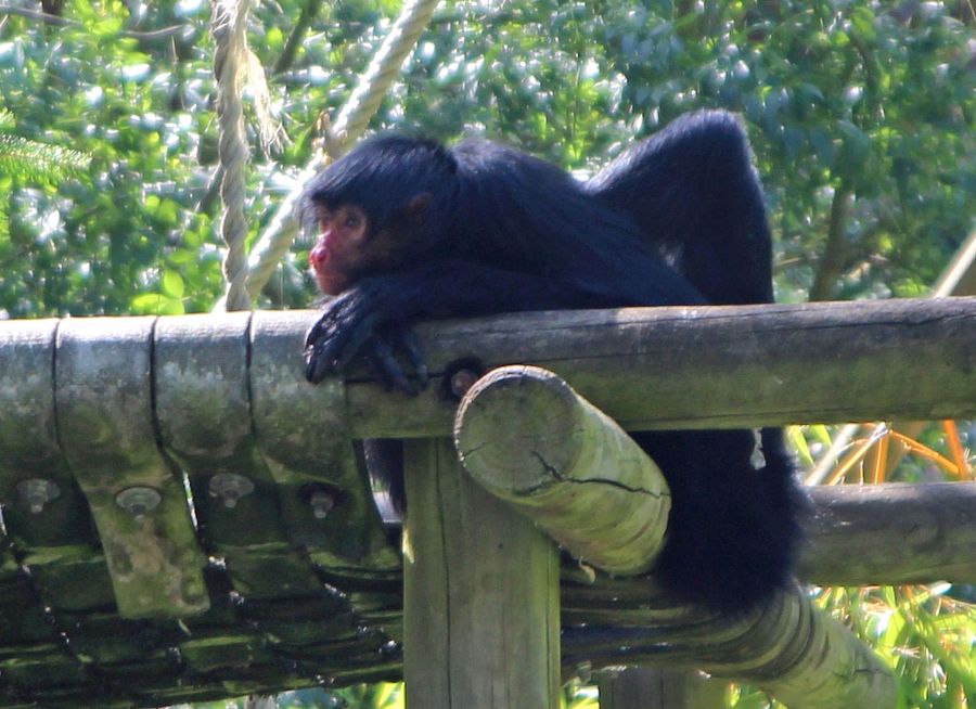 - Image 6