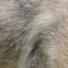  - Image 4