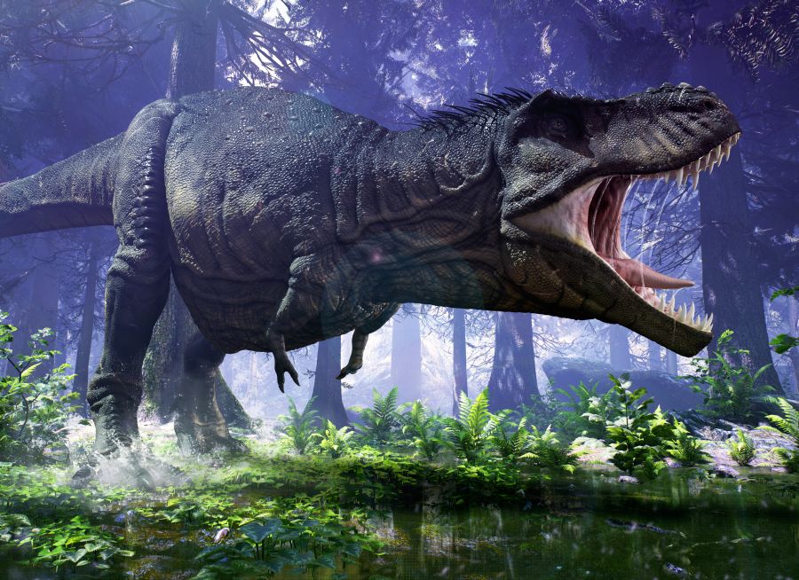 Un tyrannosaure en train de hurler