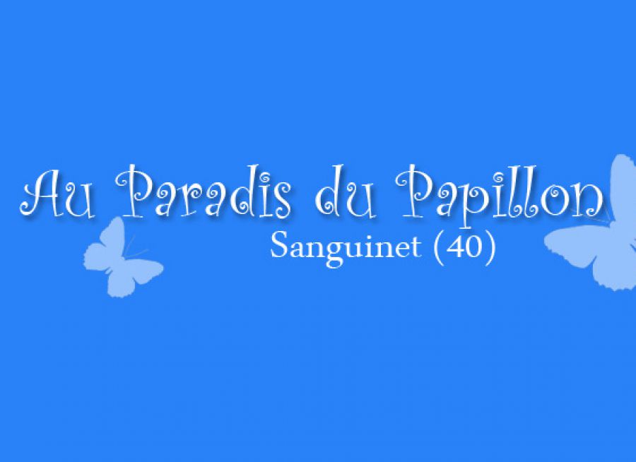 Logo papillons du Paradis du Papillon jardin tropical à Sanguinet dans les Landes