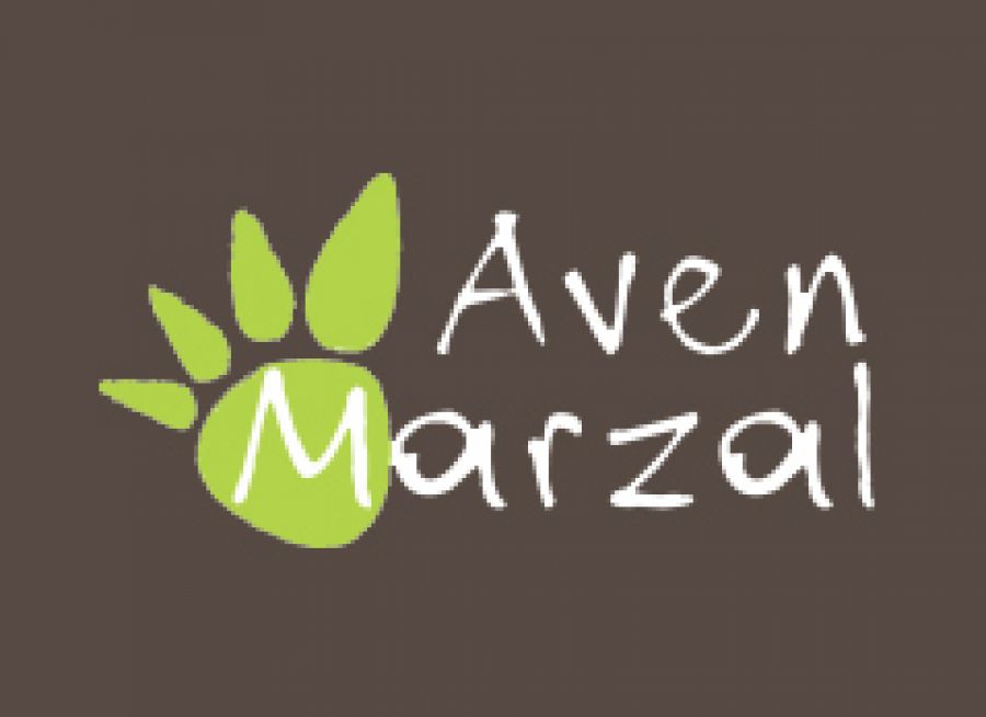 Logo du parc Aven Marzal à Saint-Remèze en Ardèche, grotte à visiter, musée et parc préhistoriques avec des dinosaures
