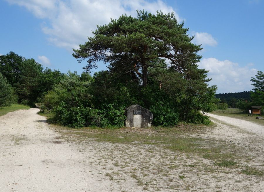 Photo d'une clairière dans la Plaine de Chanfroy, balade nature près d'Arbonne-la-Forêt en Seine-et-Marne