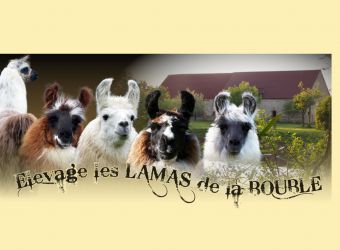 Photo ELEVAGE LES LAMAS DE LA BOUBLE