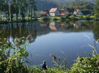 Photo ETANG DE BAERENTHAL