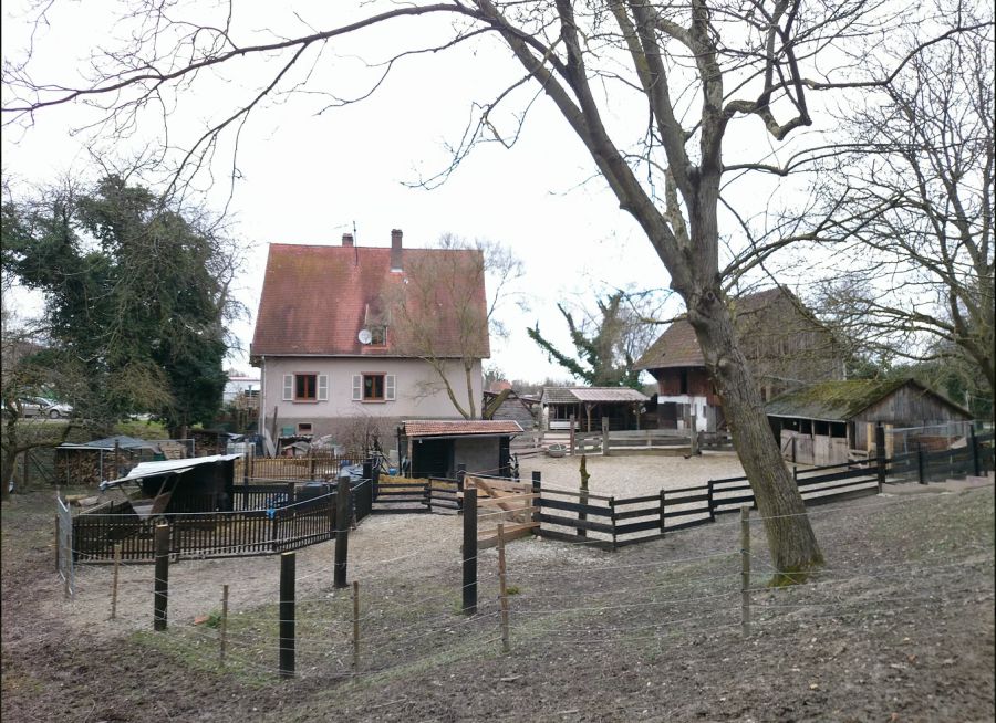 Photo de la ferme éducative AGF de Rhinau, ferme pédagogique dans le Bas-Rhin en Alsace