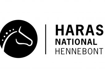 Photo HARAS NATIONAL D'HENNEBONT