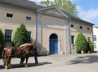 Photo HARAS DE TARBES