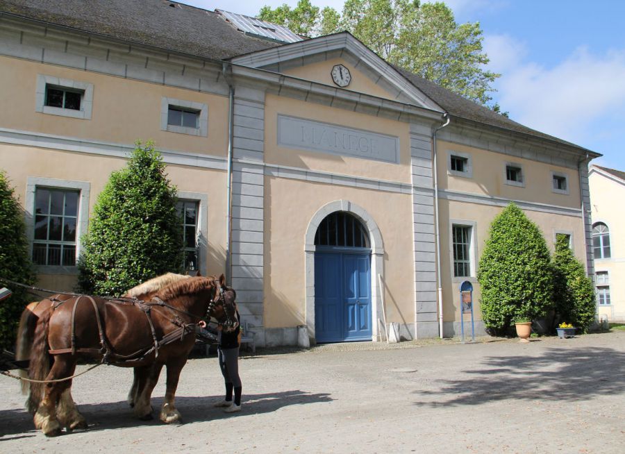 Photo d'un attelage de chevaux d'entrée devant l'entrée du Haras National de Tarbes dans les Hautes-Pyrénées