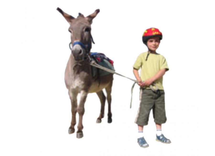 Image illustrative d'un âne et d'un enfant pour l'Azinet, ferme pédagogique à Sarrant dans le Gers