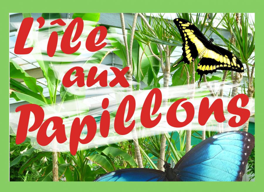Logo de l'ïle aux Papillons, serre tropicale à La Guérinière en Vendée