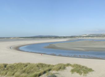 Photo RESERVE NATURELLE DE LA BAIE DE LA CANCHE