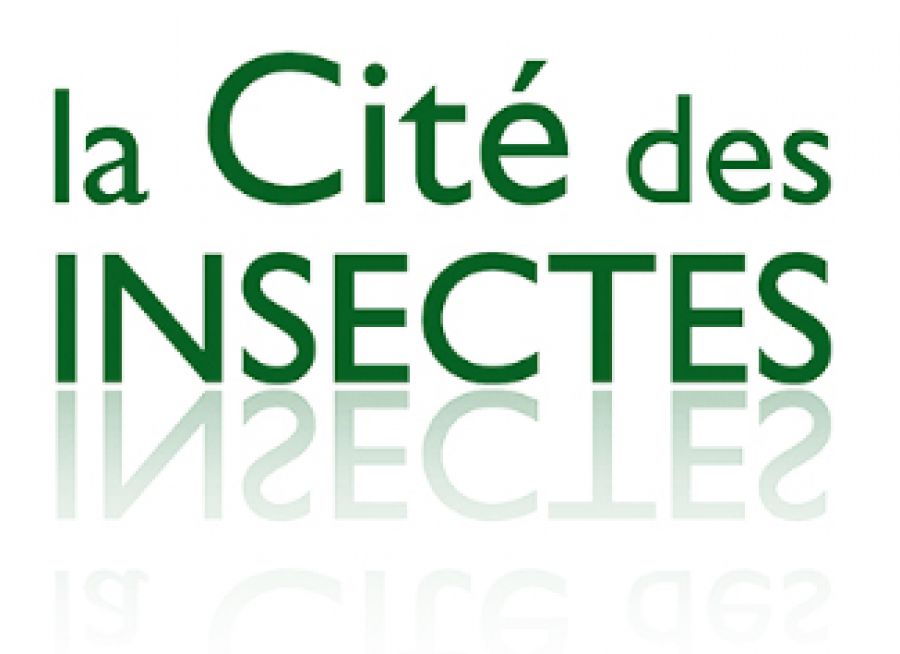 Logo de La Cité des Insectes, parc de découverte des insectes à Nedde en Haute-Vienne