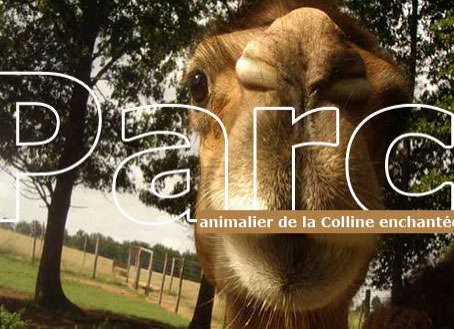 Photo dromadaire et logo du Parc Animalier de la Colline Enchantée à Hiesse en Charente