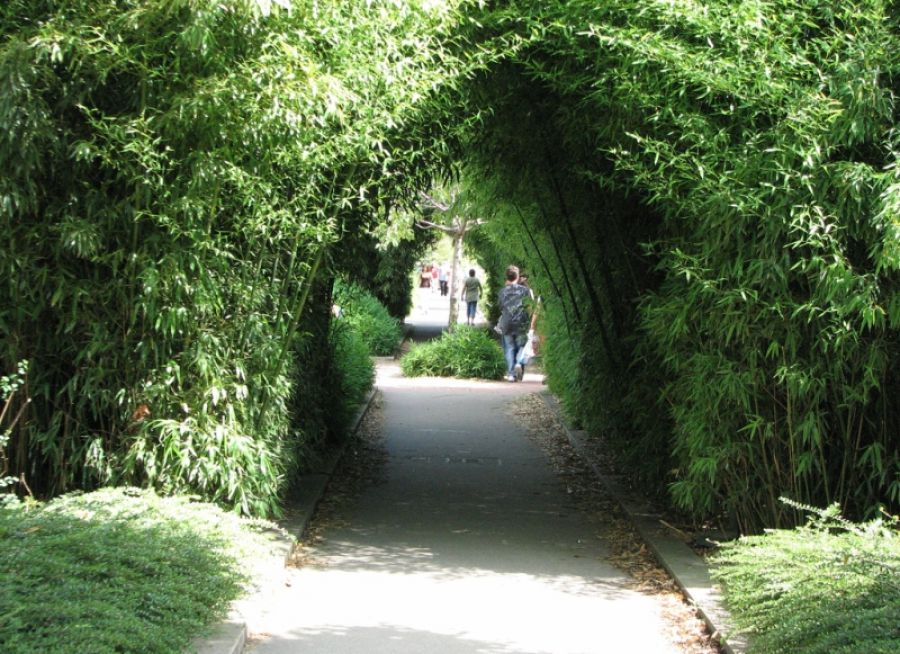 Photo d'un chemin de la Coulée Verte, balade nature à Croissy-sur-Seine dans les Yvelines