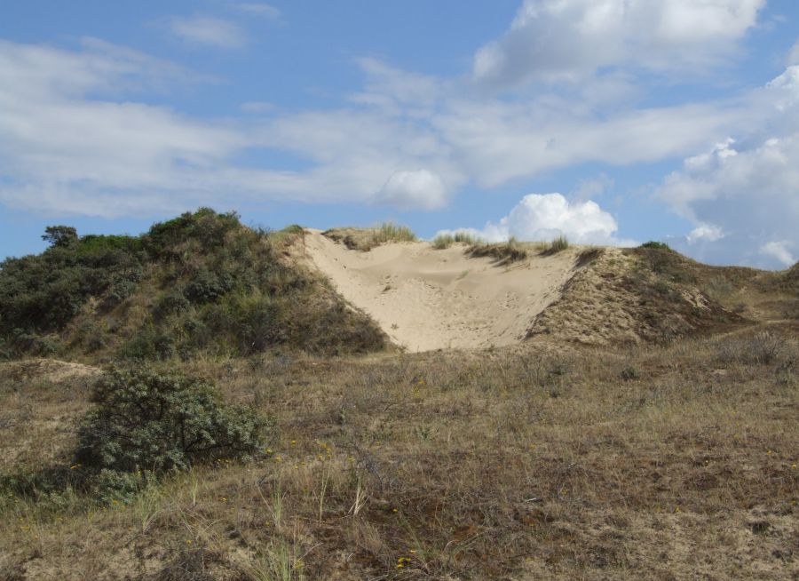 Photo d'une dune de sable à Bray-Dunes dans le Nord par Claus Ableiter - Wikimedia Commons - CC BY-SA 4-0