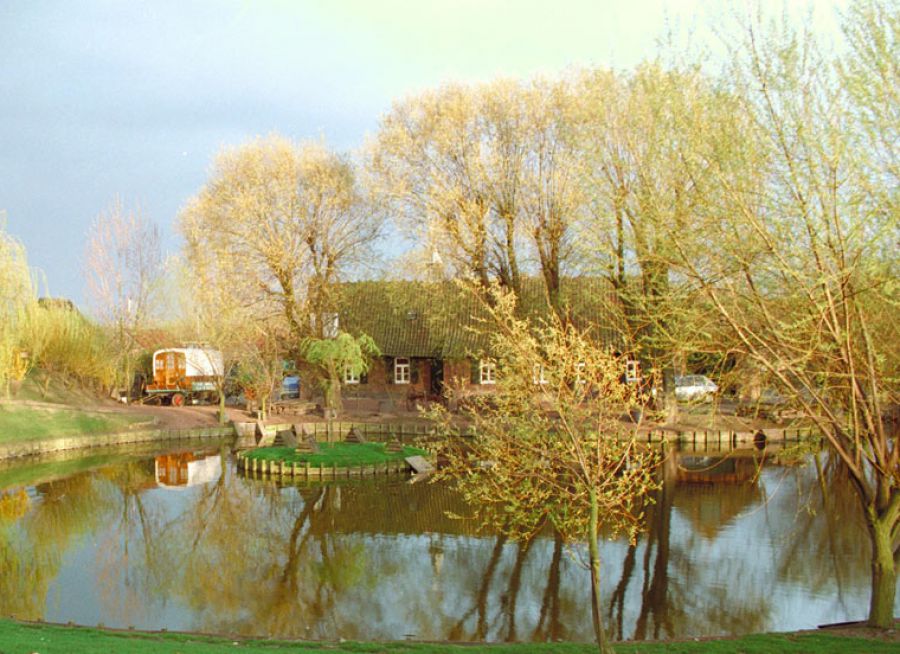 Photo de l'étang et de la Ferme Pédagogique du Parc du Lion à Wattrelos dans le Nord