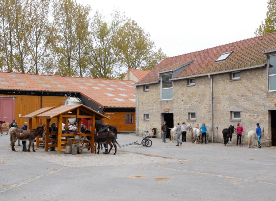 Photo de la cour avec des chevaux de la Ferme Vernaelde, ferme pédagogique et centre équestre dans le parc de Fort Louis à Coudekerque-Branche dans le Nord
