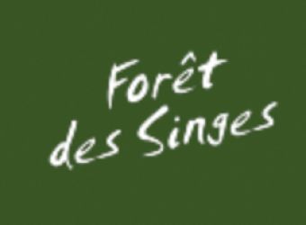 Photo LA FORET DES SINGES