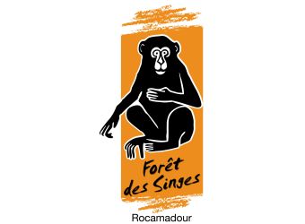 Photo LA FORET DES SINGES